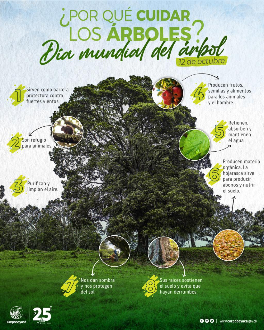 Corpoboyacá sembrará 13 mil plantas en el «Día Mundial del Árbol» –  Corpoboyacá