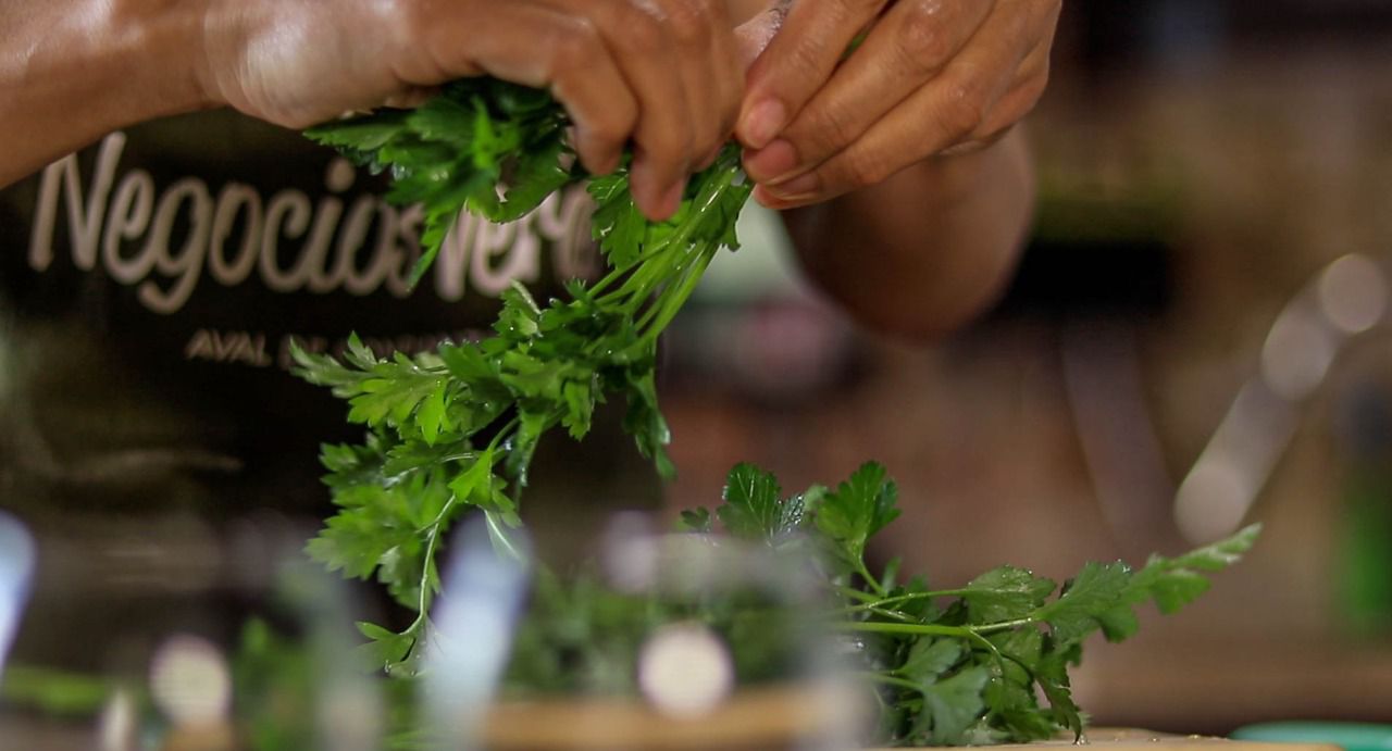 Foto “Entre sabores y naturaleza”: Por los negocios verdes y huertas comunitarias